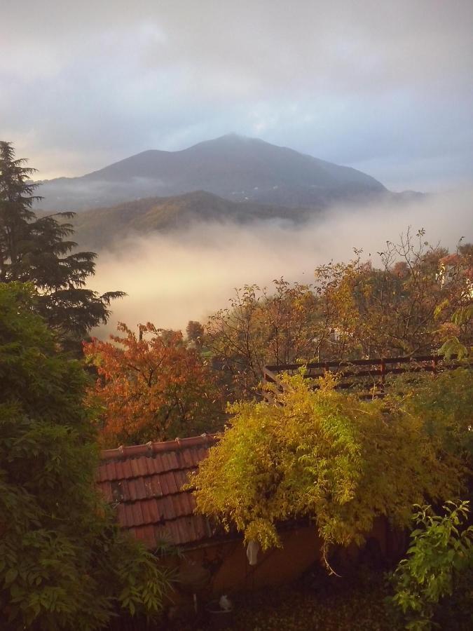 B&B Terre E Colori Sant'Olcese Dış mekan fotoğraf