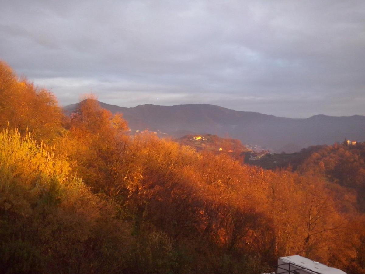 B&B Terre E Colori Sant'Olcese Dış mekan fotoğraf